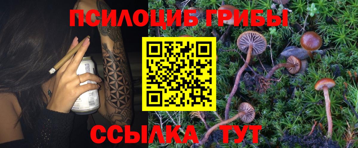 Псилоцибиновые грибы прущие грибы  Вход с VPN  Шадринск 